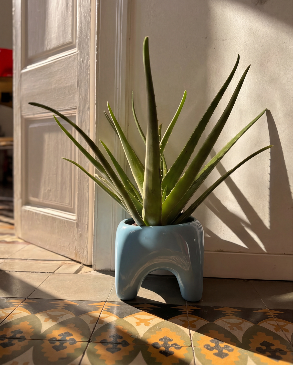 Buddy Planter, Sky Blue