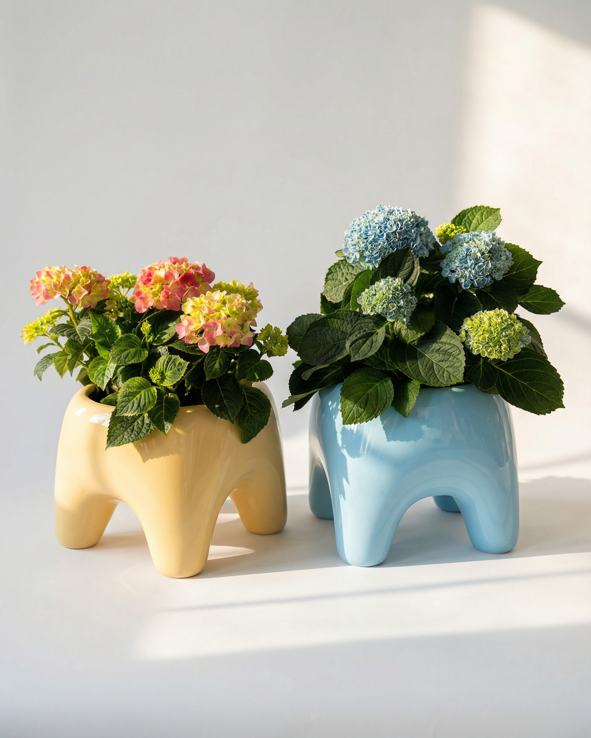 Buddy Planter, Sky Blue